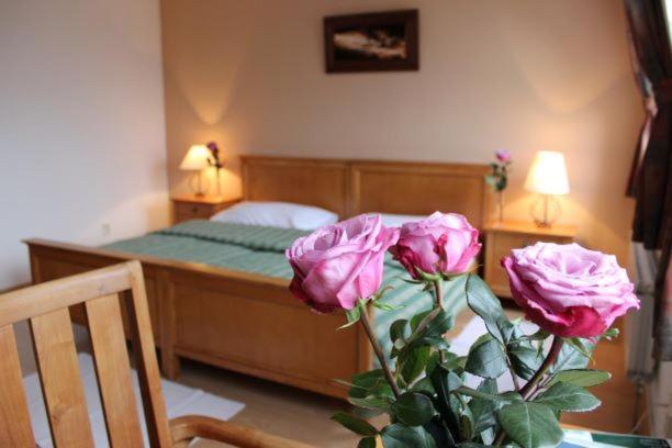Hotel AGATKA Bratislava Chorvatsky Grob Exteriör bild